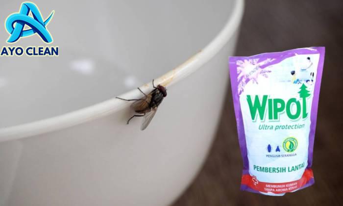 Cara Mengusir Lalat dengan Wipol yang Ampuh dan Efektif
