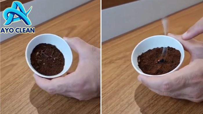 Cara Mengusir Nyamuk dengan Kopi, Ampuh dan Efektif!