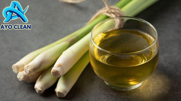 5 Cara Mengusir Nyamuk dengan Sereh. Dijamin Ampuh!