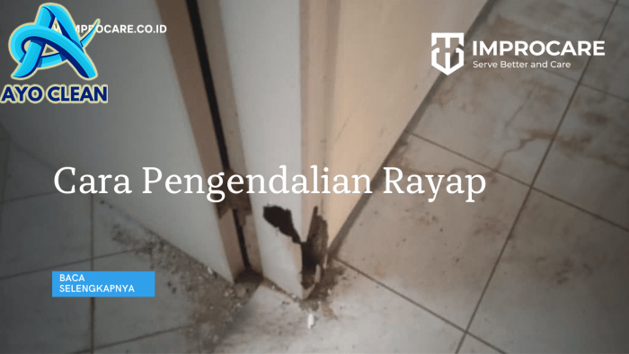 Cara Pengendalian Rayap yang Efektif: Tips dan Strategi Terbaik - PT ...