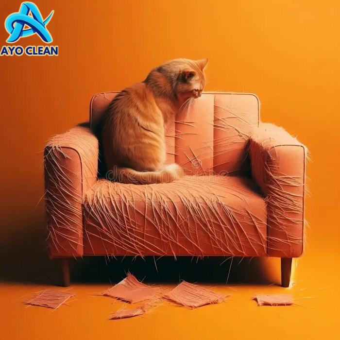 34 best Cat scratched sofa repair images on Pinterest | Armchairs, Cat ...