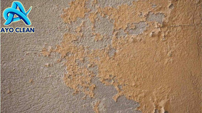 Tips Serta Cara Mengatasi Dinding Tembok Lembab dan Berjamur - Hyarta