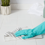 Cara Menghilangkan Kutu Kucing Di Lantai Rumah - Menghilangkan Masalah