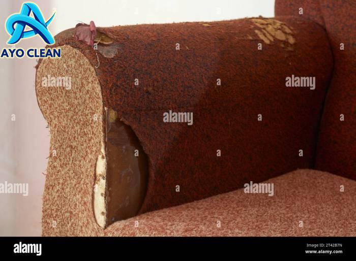 Fixing Cat Scratches on Fabric Couch | Furniture makeover, Diy ...