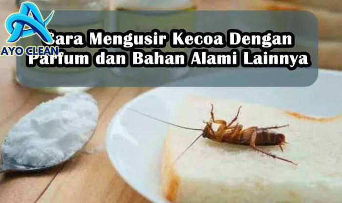 7 Cara Menghilangkan Kecoa di Mobil, Ampuh Banget! - Rustpro.id