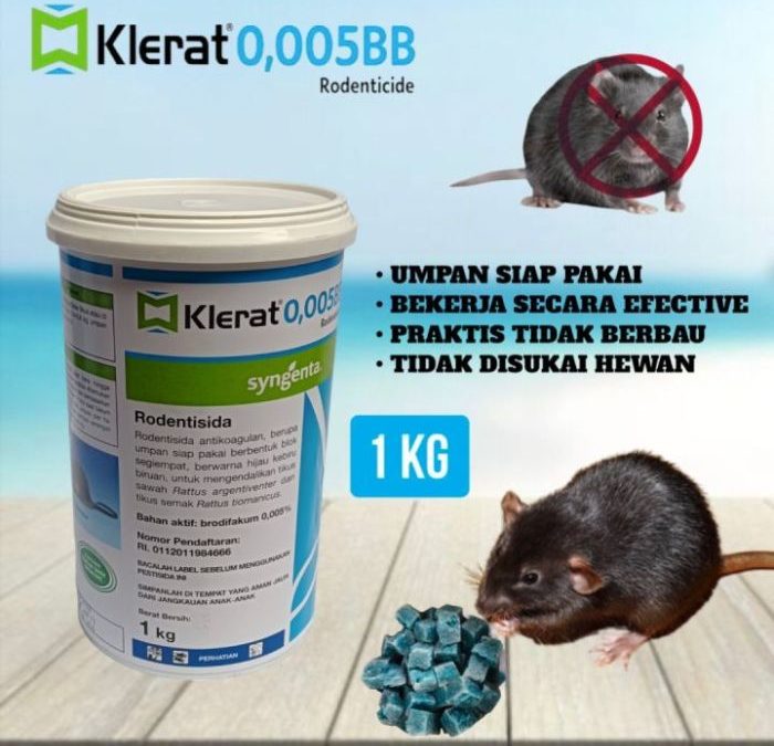 Cara kerja racun tikus klerat
