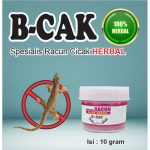 Jual RACAK HERBAL 20 GRAM/ RACUN CICAK/ PEMBASMI CICAK MASAL/ RACUN ...