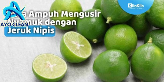 Cara mengusir nyamuk dengan deterjen