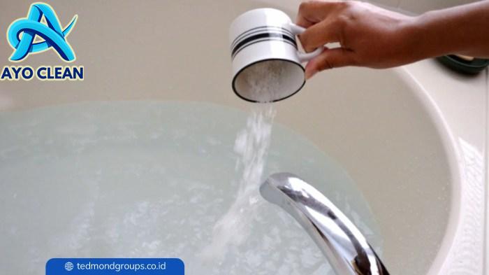 Inilah Cara Menghilangkan Jentik Nyamuk di Bak Mandi Secara Alami