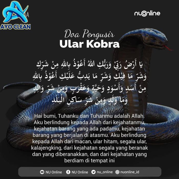 Cara mengusir ular kobra dari rumah