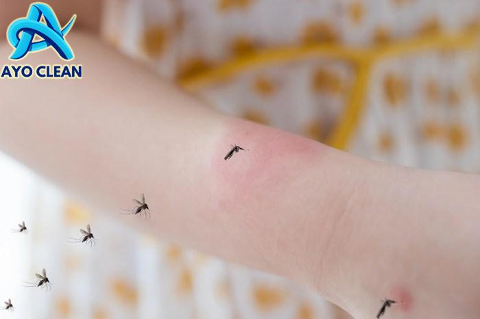 Cara menghilangkan nyamuk kecil di kamar mandi