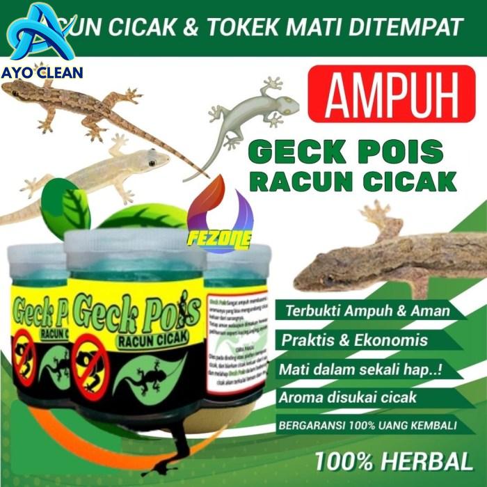 Cara racun cicak