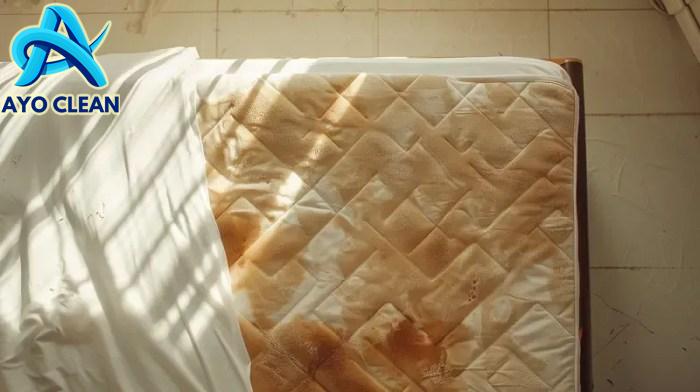 Cara Menghilangkan Bau Pesing di Kasur - Tips Ampuh, kasur -sofa | HOME ...