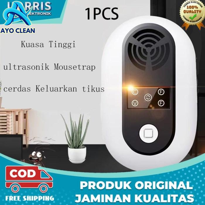 Cara mengusir tikus dari rumah