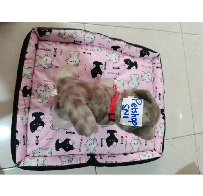 KASUR TEMPAT TIDUR KUCING ANJING DAN LAIN2 KASUR NYAEMPUK DAN ADEM ...