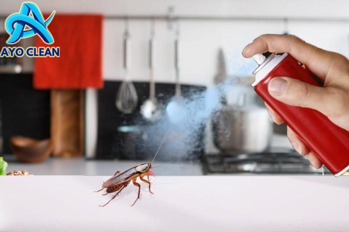 2 Alasan Kecoa Terbang ke Arah Wajah dan Kepala Manusia, Lakukan Cara ...