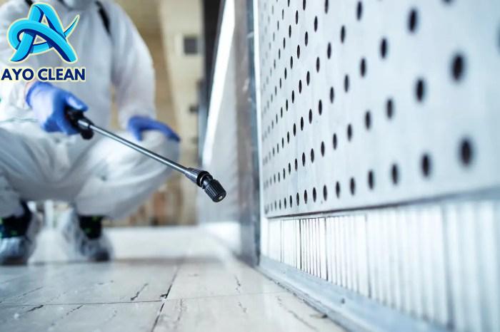 10 Cara Mengatasi Masalah Rayap Rumah yang Mudah Dilakukan