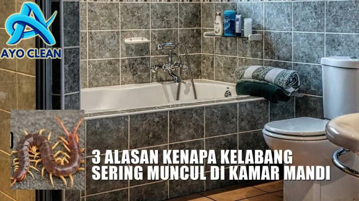 7 Cara Efektif Membasmi Kelabang di Rumah dan Mencegahnya Kembali ...