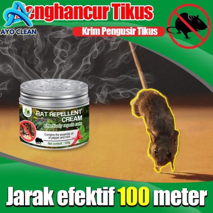 Cara mengobati gigitan tikus alami