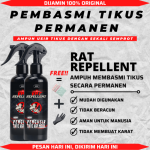 Tips Ampuh Mengusir Tikus dari Mobil