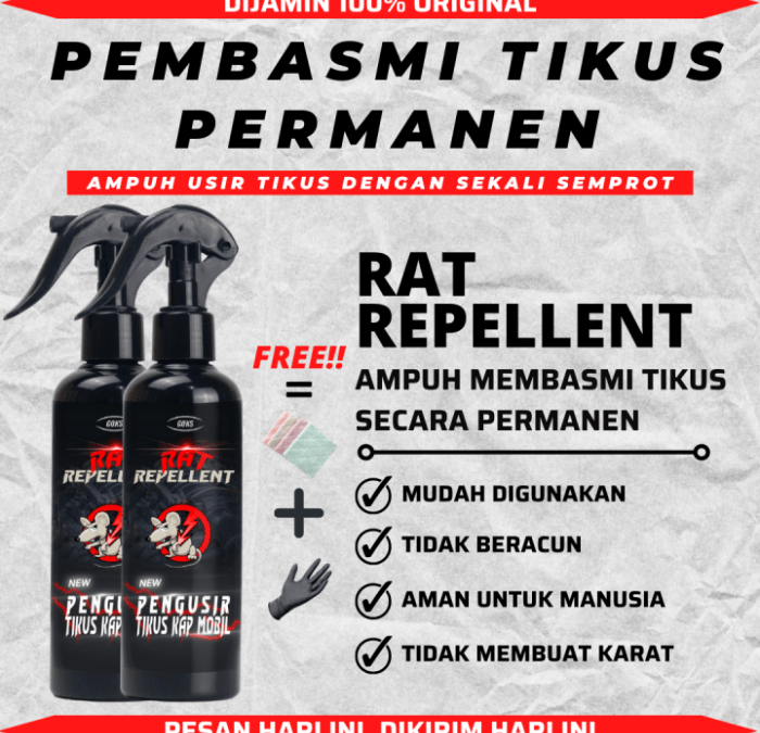 Tips Ampuh Mengusir Tikus dari Mobil