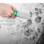 Tembok Rumah Berjamur? Tenang, Begini Mengatasinya Dengan Mudah