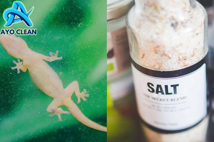 Cara mengusir cicak dengan bumbu dapur