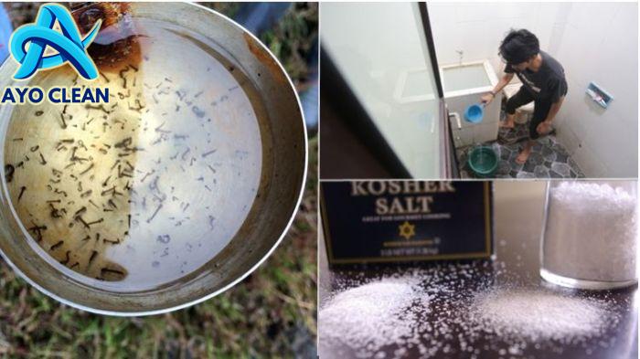 8 Solusi Basmi Jentik Nyamuk di Bak Mandi Selain Pakai Abate ...