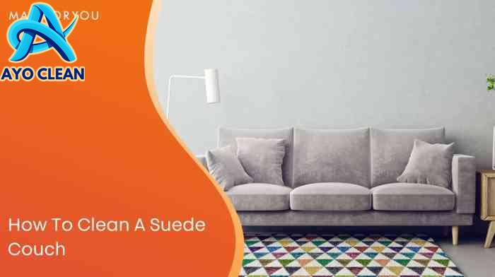 How To Clean Suede Sofa Cushions | Baci Living Room