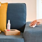 How to Clean Fabric Sofa Naturally - Hayzed Magazine