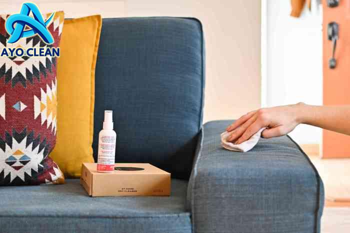 Cara membersihkan sofa dari kotoran manusia