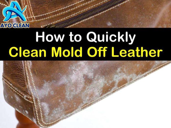 4 Simple Ways To Clean Mold Off Leather