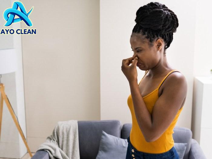 How To Get A Musty Smell Out Of Furniture | Storables