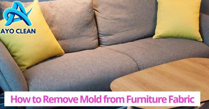 Best Ways to Remove Mold From Furniture Fabric