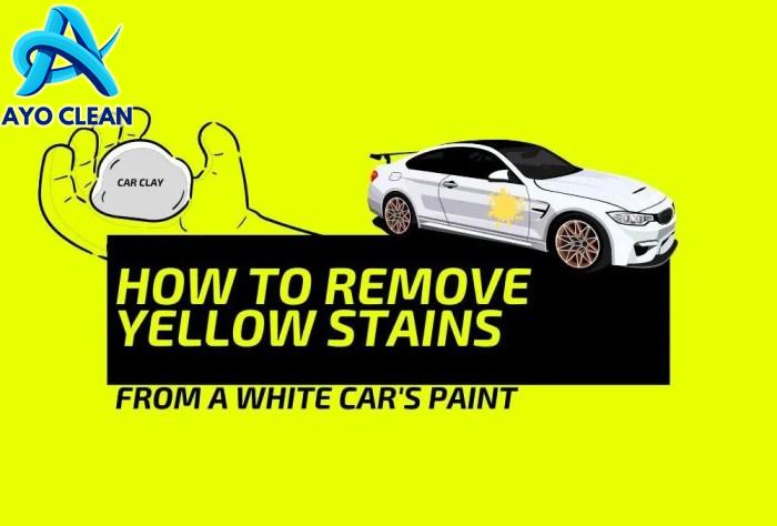 How To Remove White Paint Spots From Car at Janna Altieri blog