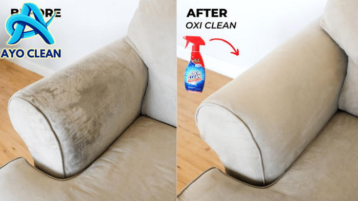 How To Clean Your Fabric Sofa Using Vinegar Only