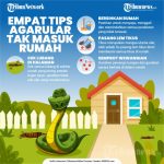 7 Cara Ular Menyesuaikan Diri dengan Perubahan Lingkungan: Adaptasi dan ...