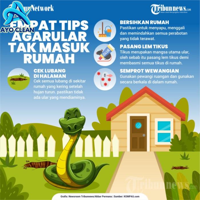 INFOGRAFIK 4 Tips Agar Ular Tak Masuk Rumah, Foto 1 #1903597 ...