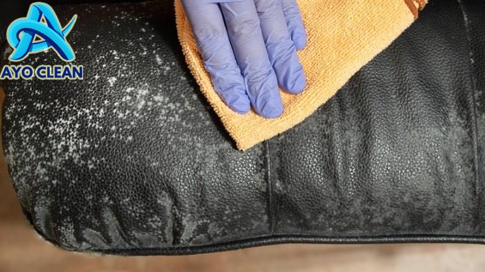 The Household Essential That'll Save Your Moldy Leather Furniture