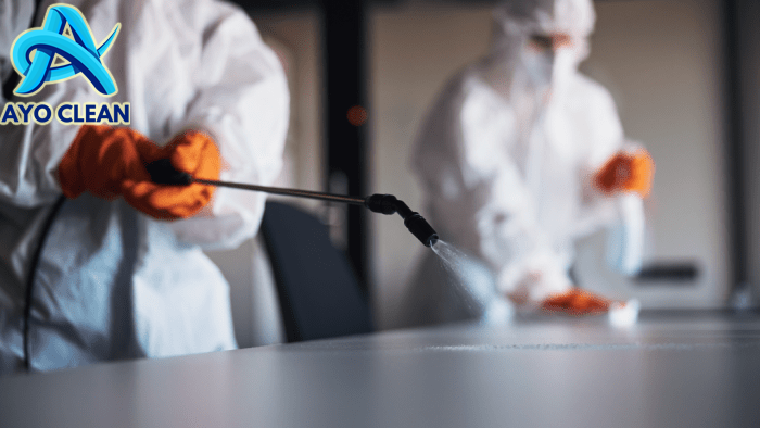 Tips Ampuh: Cara Menghilangkan Rayap Tanpa Ribet dan Hemat