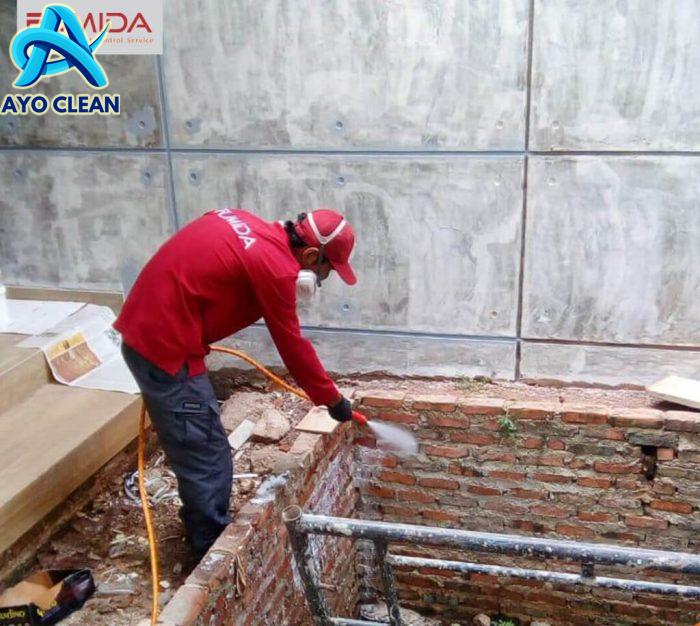 Cara Membasmi Rayap Kayu Secara Alami Dengan 5 Bahan Ini