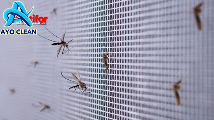 Cara menghilangkan nyamuk di kamar mandi
