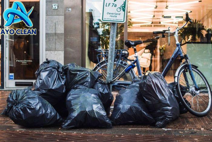 5 Cara Alami Mengusir Lalat di Rumah, Sederhana Tapi Ampuh