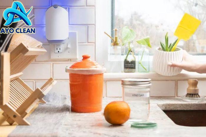 Dijamin Ampuh! Cegah Lalat Masuk ke Dalam Rumah dengan 4 Cara Ini - iDEA
