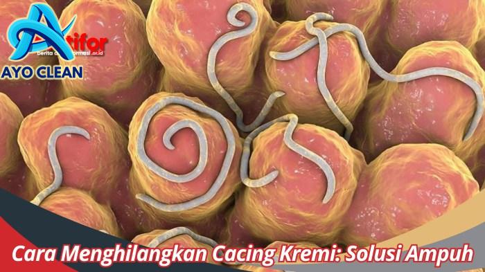 Cara Menghilangkan Cacing Kremi: Solusi Ampuh untuk Masalah Kesehatan