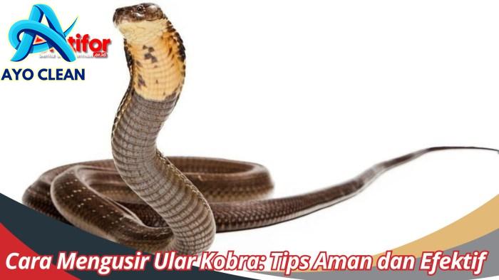 8 Cara Mengusir Ular Kobra Agar Tidak Masuk Rumah Paling Efektif ... 8 Cara Mengusir Ular Kobra Agar Tidak Masuk Rumah Paling Efektif ...