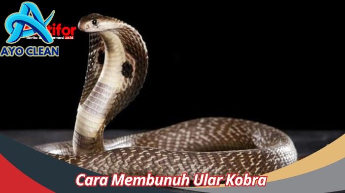 Cara membunuh ular