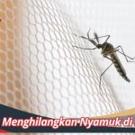 5 Cara Menghilangkan Nyamuk di Kamar Paling Ampuh – bTaskee
