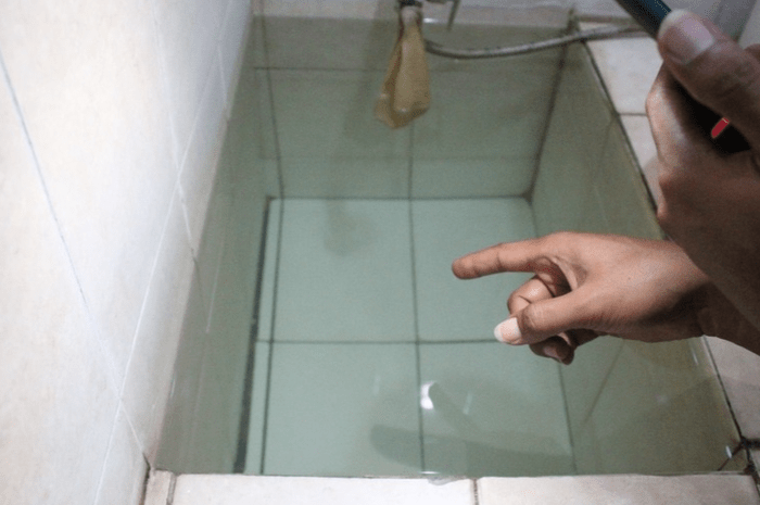 Dikuras Saja Gak Lenyap, Begini Cara Membasmi Jentik Nyamuk di Bak ...