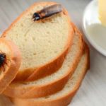 Begini Cara Mengusir Kecoa yang Sering Kamu Temukan di Rumah ...